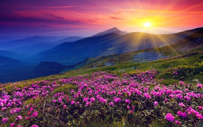 sun-shining-over-hills-1920x1200-wallpaper-amanecer-en-las-colinas-y-montanas