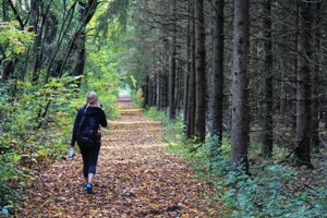 woman_girl_hiker_backpacker_trek_path_adventure_forest-926631.jpg